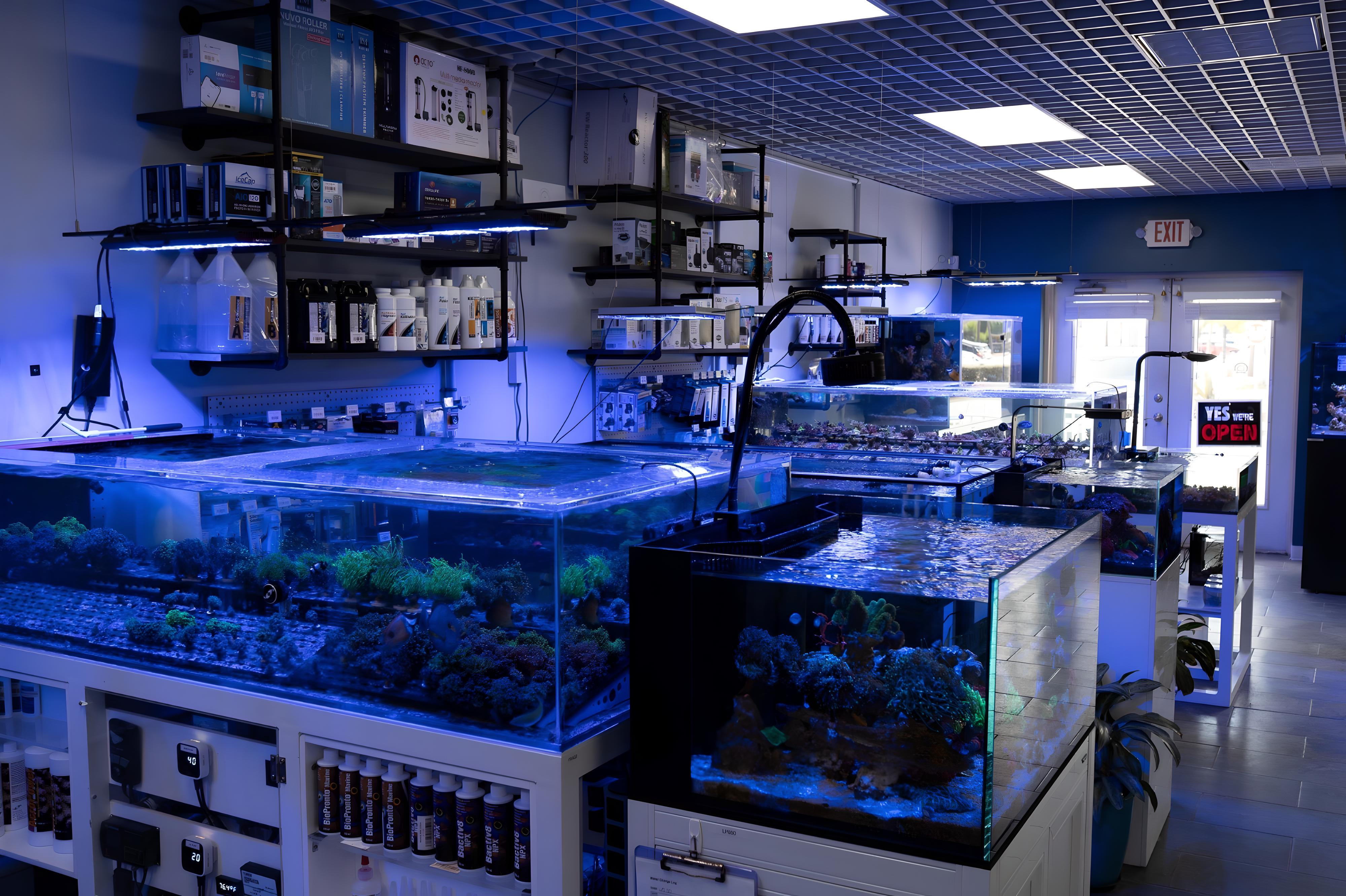 How to Cycle a Saltwater Tank: The No-Guesswork Guide