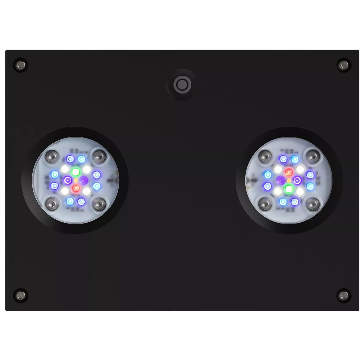 Hydra 32 HD LED Reef Light - Black Body