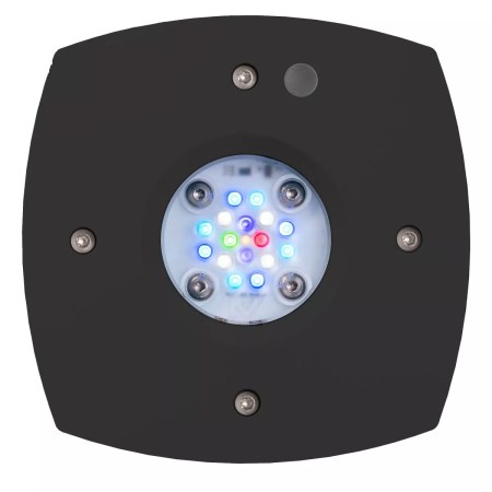 Prime 16 HD LED Reef Light - Black Body