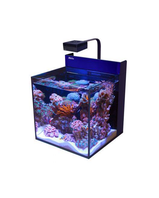 Red Sea MAX NANO G2 Cube Aquarium (20 Gal)