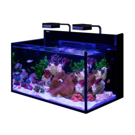 Red Sea MAX NANO G2 XXL Aquarium (53 Gal)