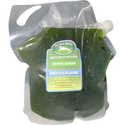 Phyto-Plasm™ Gallon (Green) - The Underwater Gardener, Key West FL