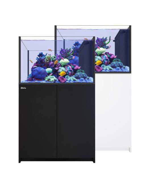 Red Sea REEFER Peninsula 350 G3 Aquarium System (73 Gallons)