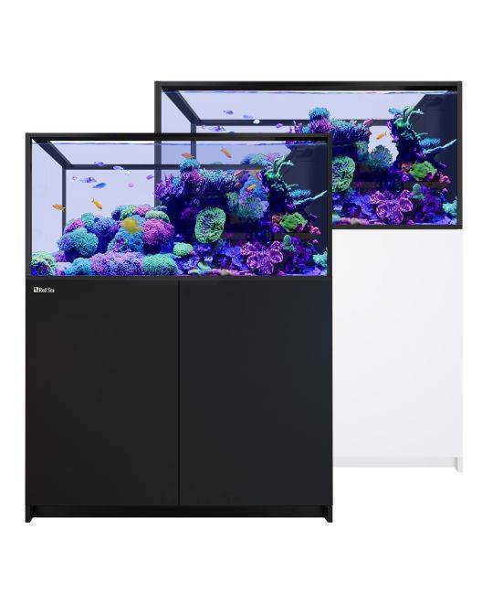 Red Sea REEFER Peninsula 500 G3 Aquarium System (109 Gallons)