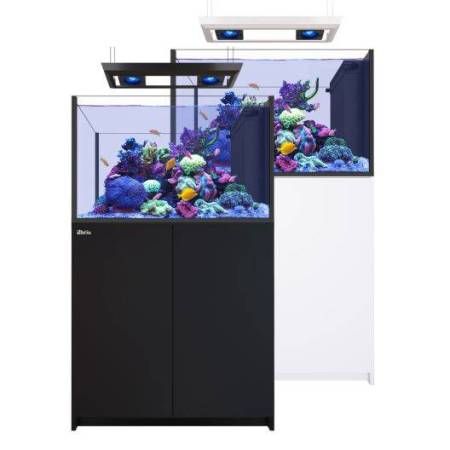Red Sea REEFER Deluxe Peninsula 350 G3 Aquarium System (73 Gallons, 2x ReefLED 115)