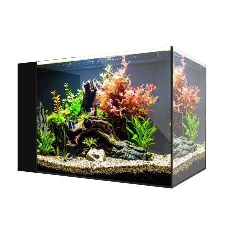 Waterbox AIO 25 PENINSULA Freshwater Aquarium - The Underwater Gardener, Key West FL
