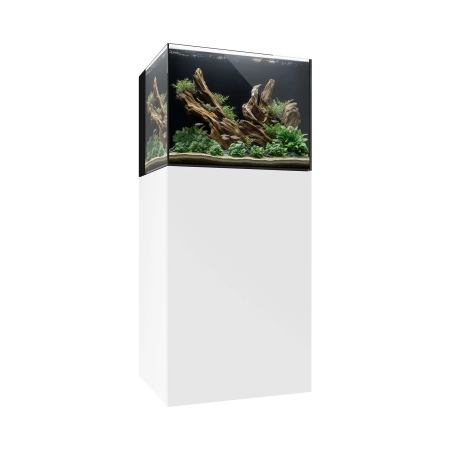 Waterbox AIO 35.2 Freshwater Aquarium - The Underwater Gardener, Key West FL