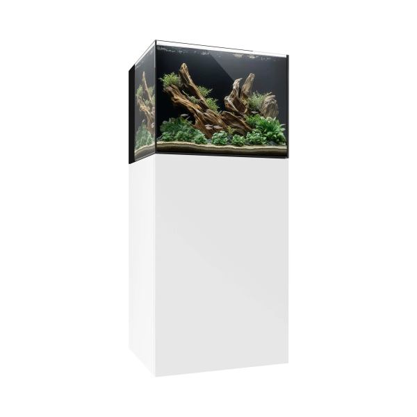 Waterbox AIO 35.2 Freshwater Aquarium - The Underwater Gardener, Key West FL
