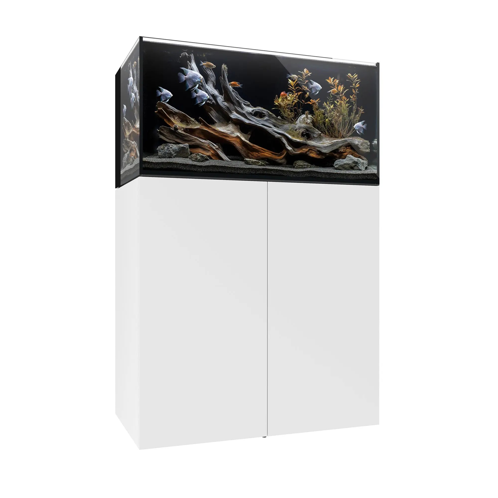 Waterbox AIO 50.3 Freshwater Aquarium - The Underwater Gardener, Key West FL