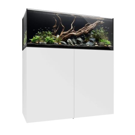 Waterbox AIO 65.4 Freshwater Aquarium - The Underwater Gardener, Key West FL