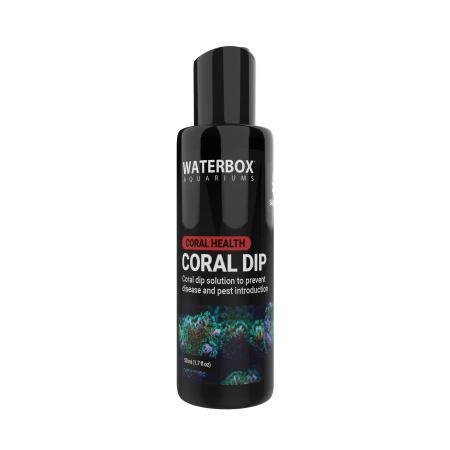 Waterbox Coral Dip - The Underwater Gardener, Key West FL
