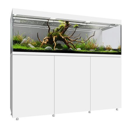 Waterbox EDEN X 175 FLED Planted Aquarium - The Underwater Gardener, Key West FL