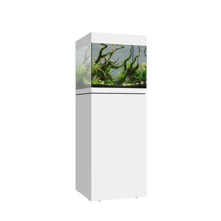 Waterbox EDEN 20 FLED Planted Aquarium - The Underwater Gardener, Key West FL
