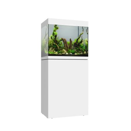 Waterbox EDEN 30 FLED Planted Aquarium - The Underwater Gardener, Key West FL