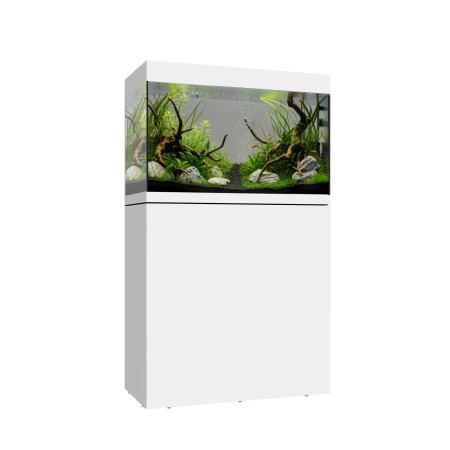Waterbox EDEN 40 FLED Planted Aquarium - The Underwater Gardener, Key West FL
