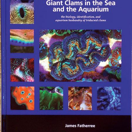 Giant Clams in the Sea and the Aquarium (Book) - The Underwater Gardener, Key West FL