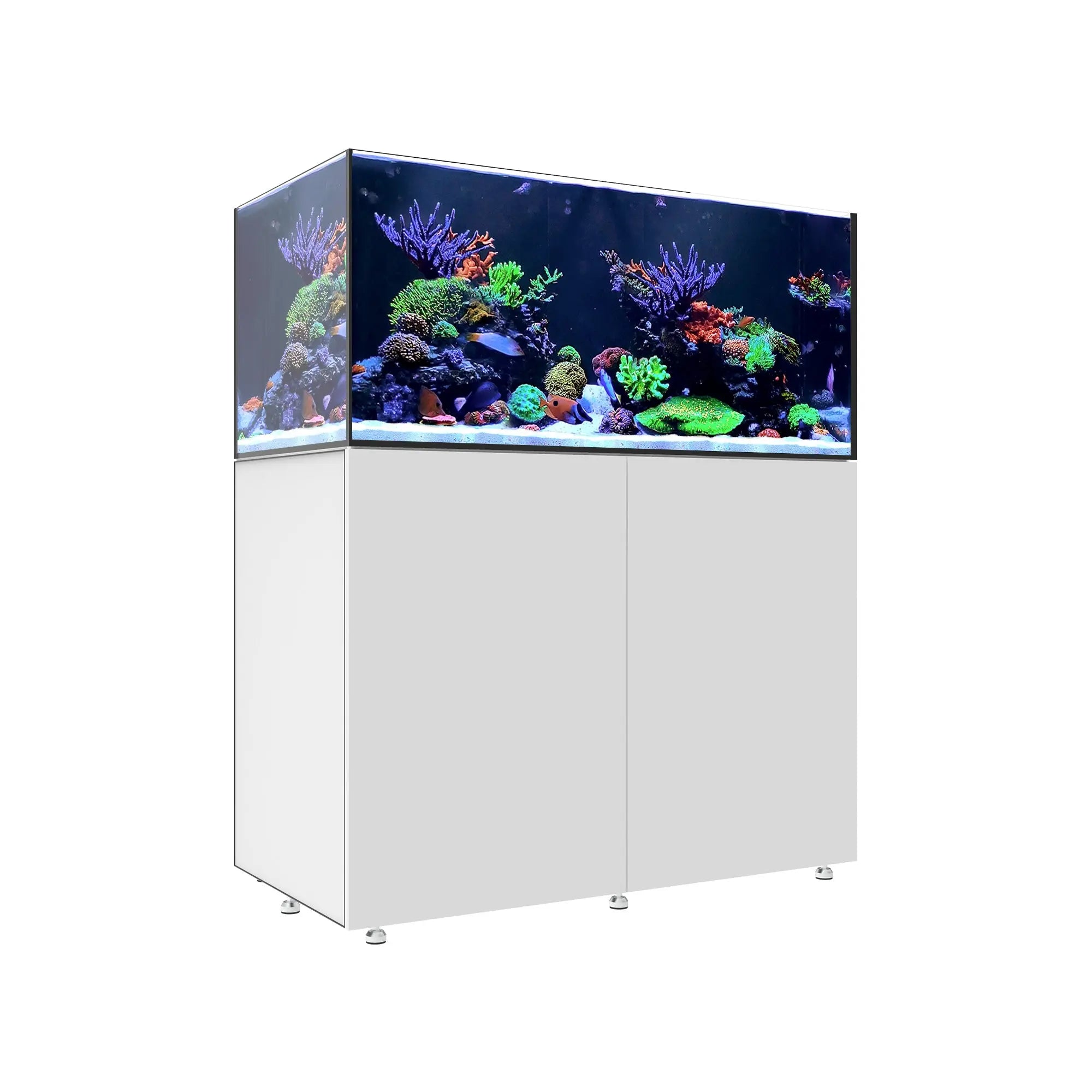 Waterbox INFINIA Reef 150.4 Aquarium - The Underwater Gardener, Key West FL