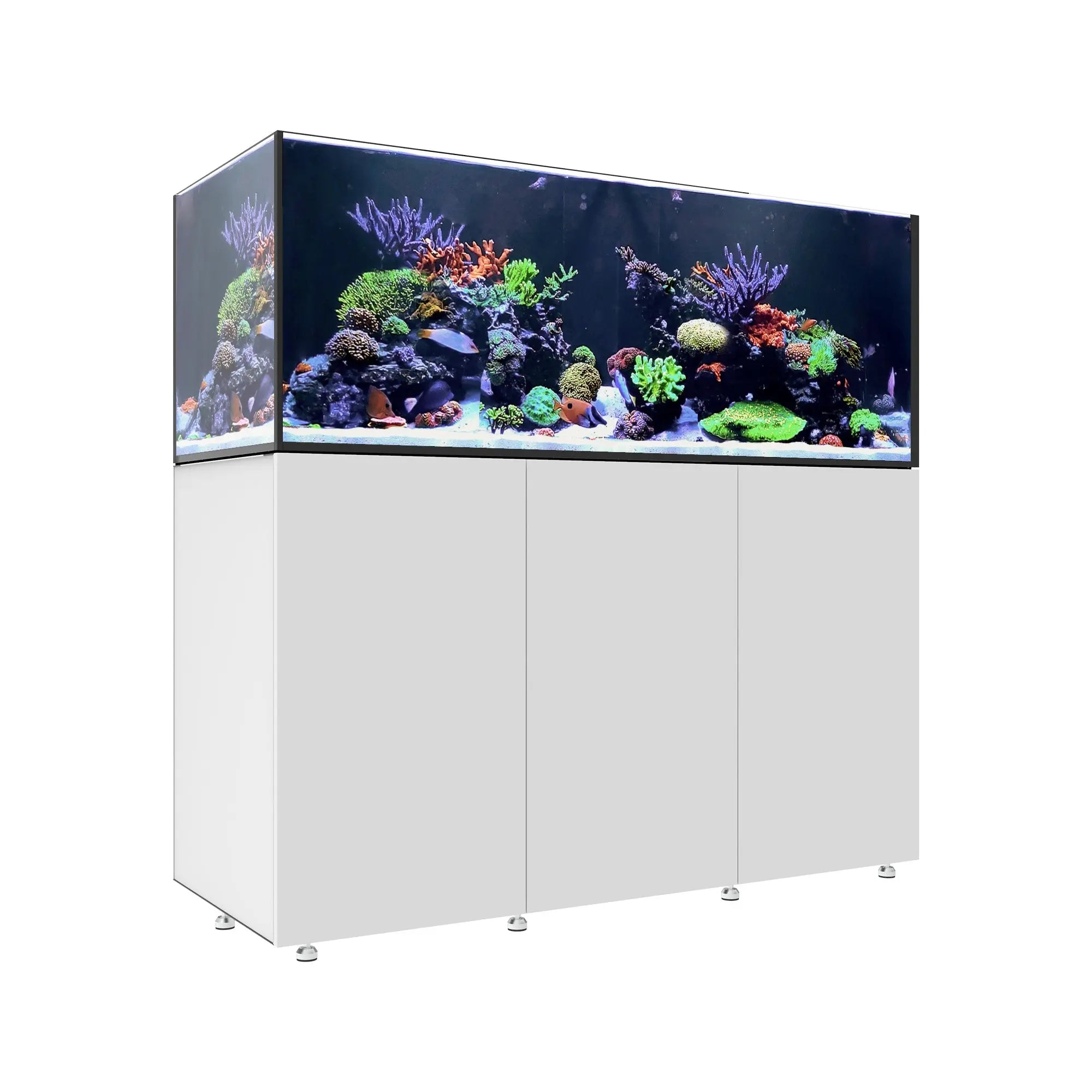 Waterbox INFINIA Reef 190.5 Aquarium - The Underwater Gardener, Key West FL