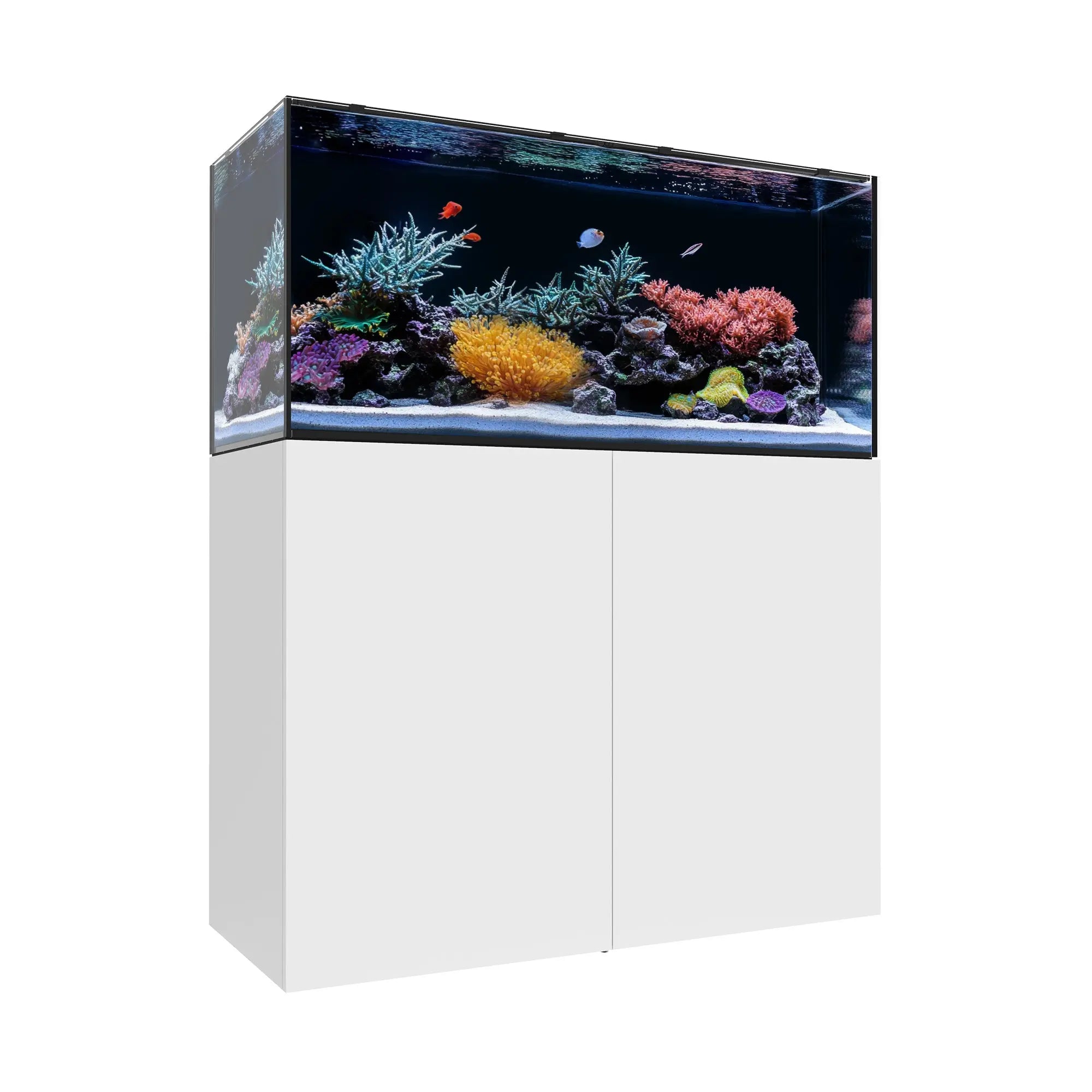 Waterbox MARINE EX 110.4 Aquarium - The Underwater Gardener, Key West FL