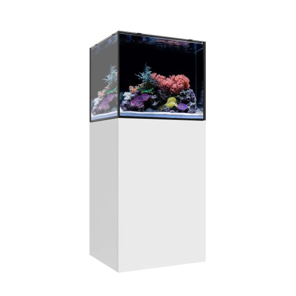 Waterbox MARINE EX 60.2 Aquarium - The Underwater Gardener, Key West FL