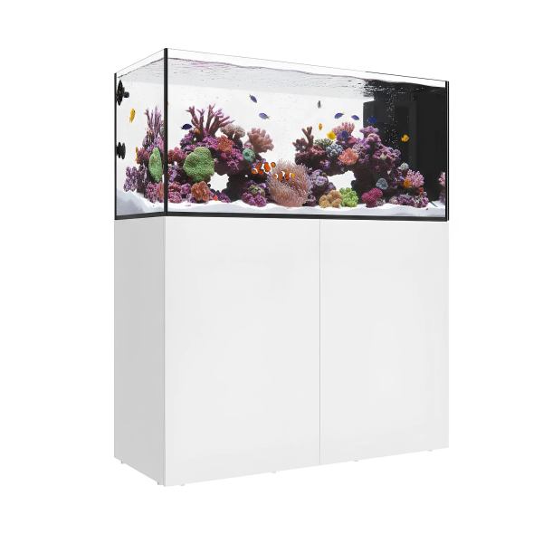 Waterbox MARINE X 110.4 PENINSULA Aquarium - The Underwater Gardener, Key West FL