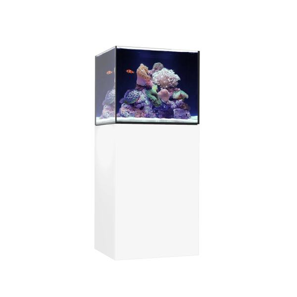 Waterbox MARINE X 60.2 Aquarium - The Underwater Gardener, Key West FL
