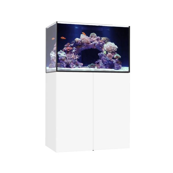 Waterbox MARINE X 90.3 Aquarium - The Underwater Gardener, Key West FL