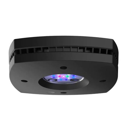 Waterbox Prime 16HD Reef Light - The Underwater Gardener, Key West FL