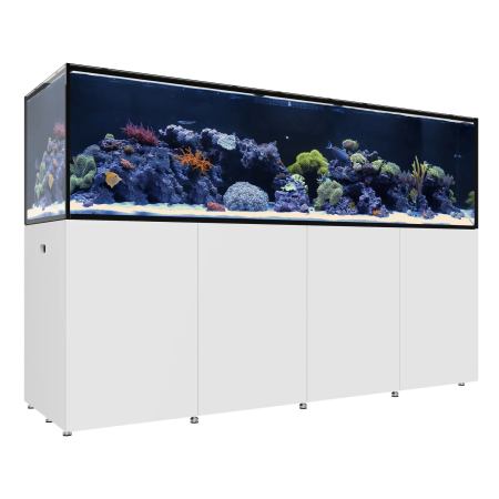 Waterbox REEF LX 380.8 Aquarium - The Underwater Gardener, Key West FL