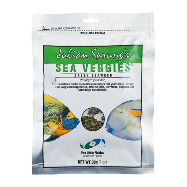 Two Little Fishies SeaVeggies Green Seaweed - The Underwater Gardener, Key West FL