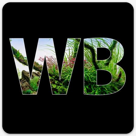 Waterbox "WB" Freshwater Sticker - The Underwater Gardener, Key West FL