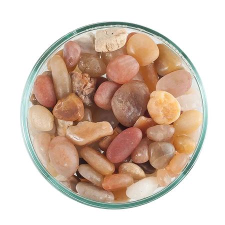 Waterbox Super Naturals Essentials - Zen Garden - The Underwater Gardener, Key West FL