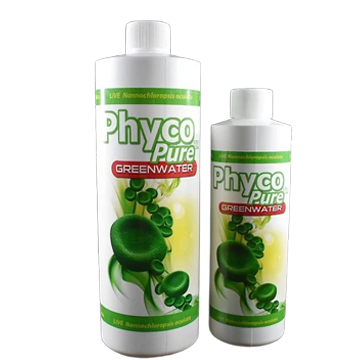 PhycoPure™ Greenwater (8 oz) - The Underwater Gardener, Key West FL