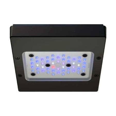 Waterbox PLUS XR15 G6 Saltwater Light - The Underwater Gardener, Key West FL