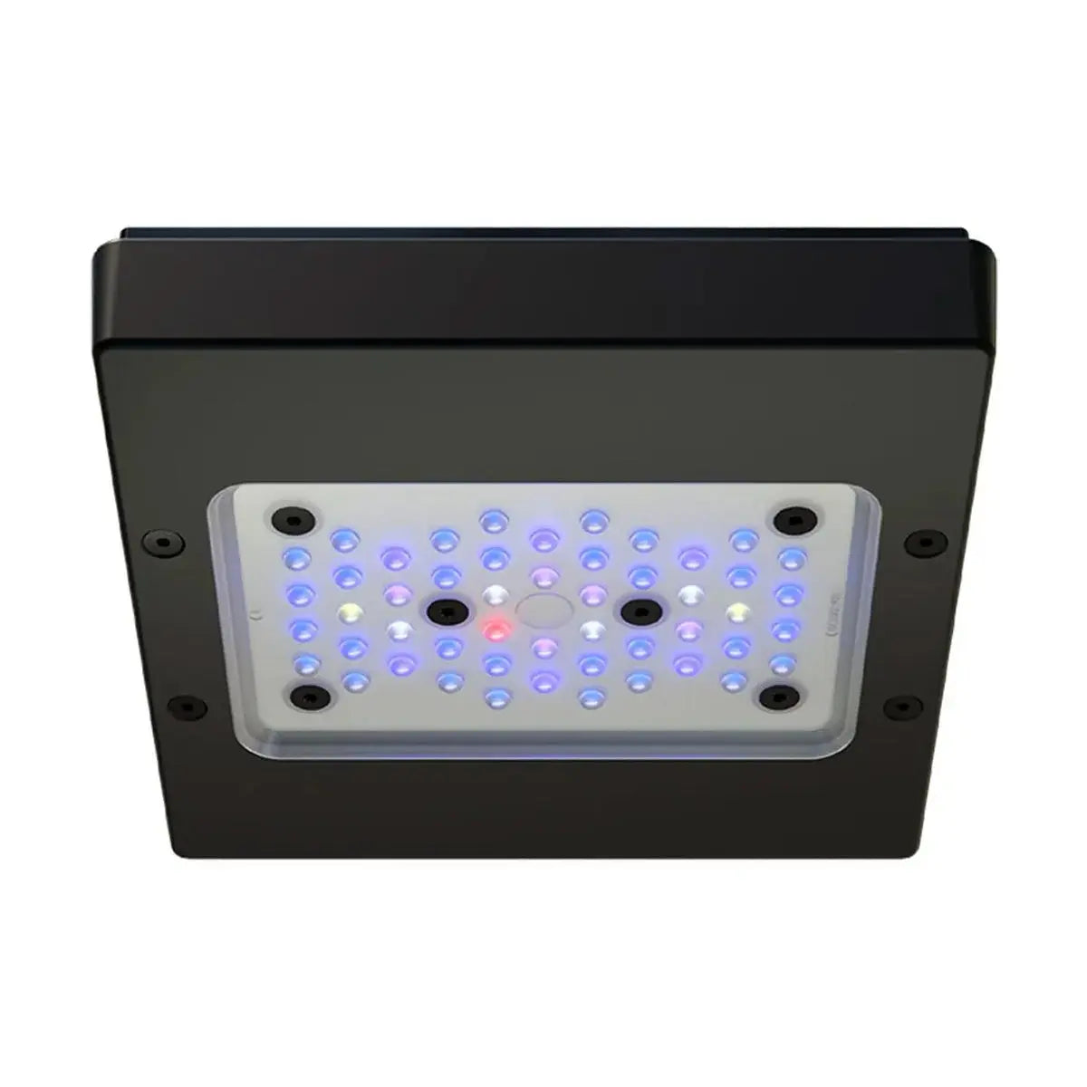 Waterbox Radion XR15 G6 Blue Reef Light - The Underwater Gardener, Key West FL