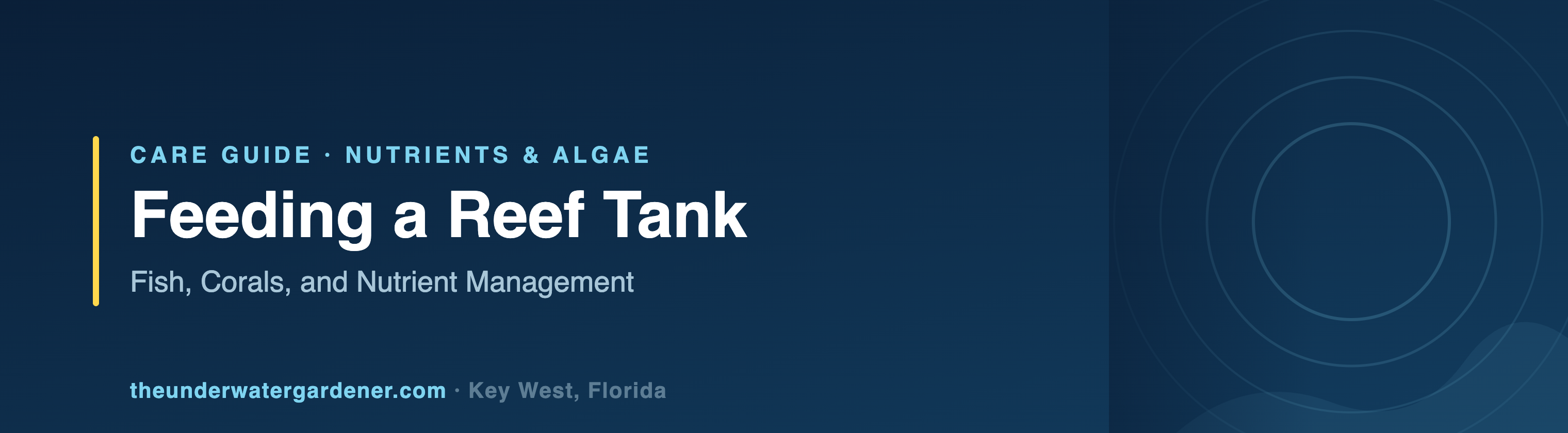 Feeding a Reef Tank: Fish, Corals, and Nutrient Management - care guide from The Underwater Gardener, Key West