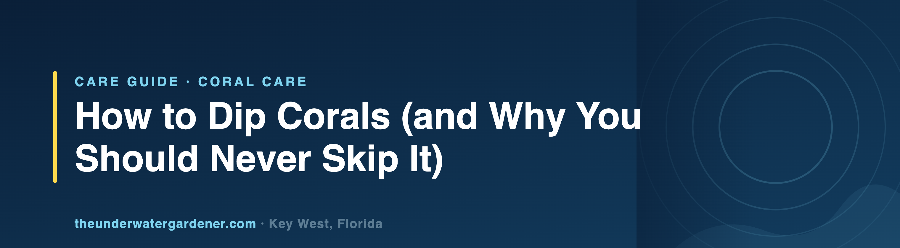 How to Dip Corals (and Why You Should Never Skip It) - care guide from The Underwater Gardener, Key West