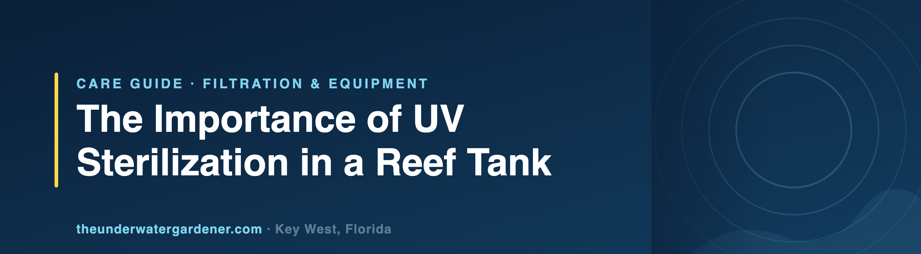 The Importance of UV Sterilization in a Reef Tank - care guide from The Underwater Gardener, Key West