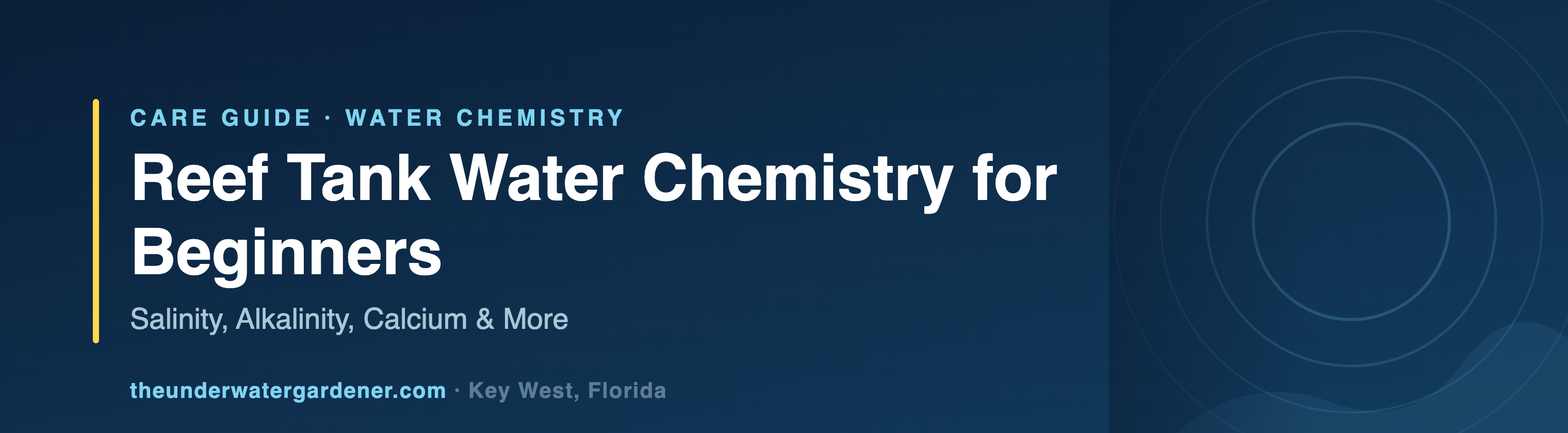 Reef Tank Water Chemistry for Beginners: Salinity, Alkalinity, Calcium & More - care guide from The Underwater Gardener, Key West