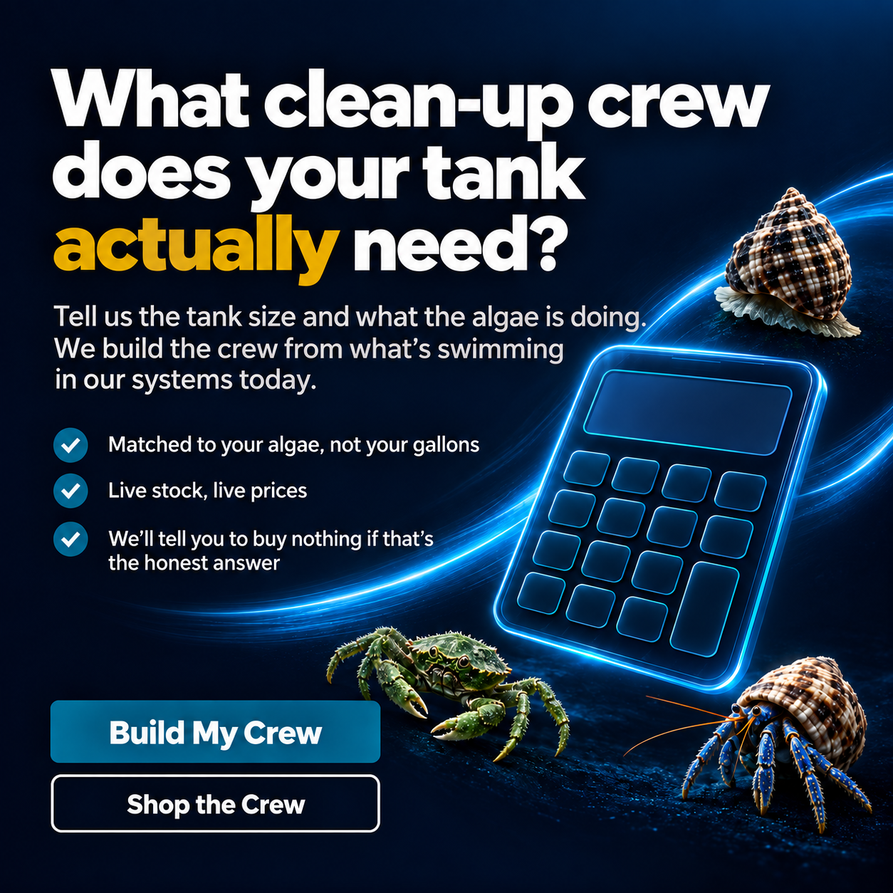 Clean Up Crew Calculator from The Underwater Gardener
